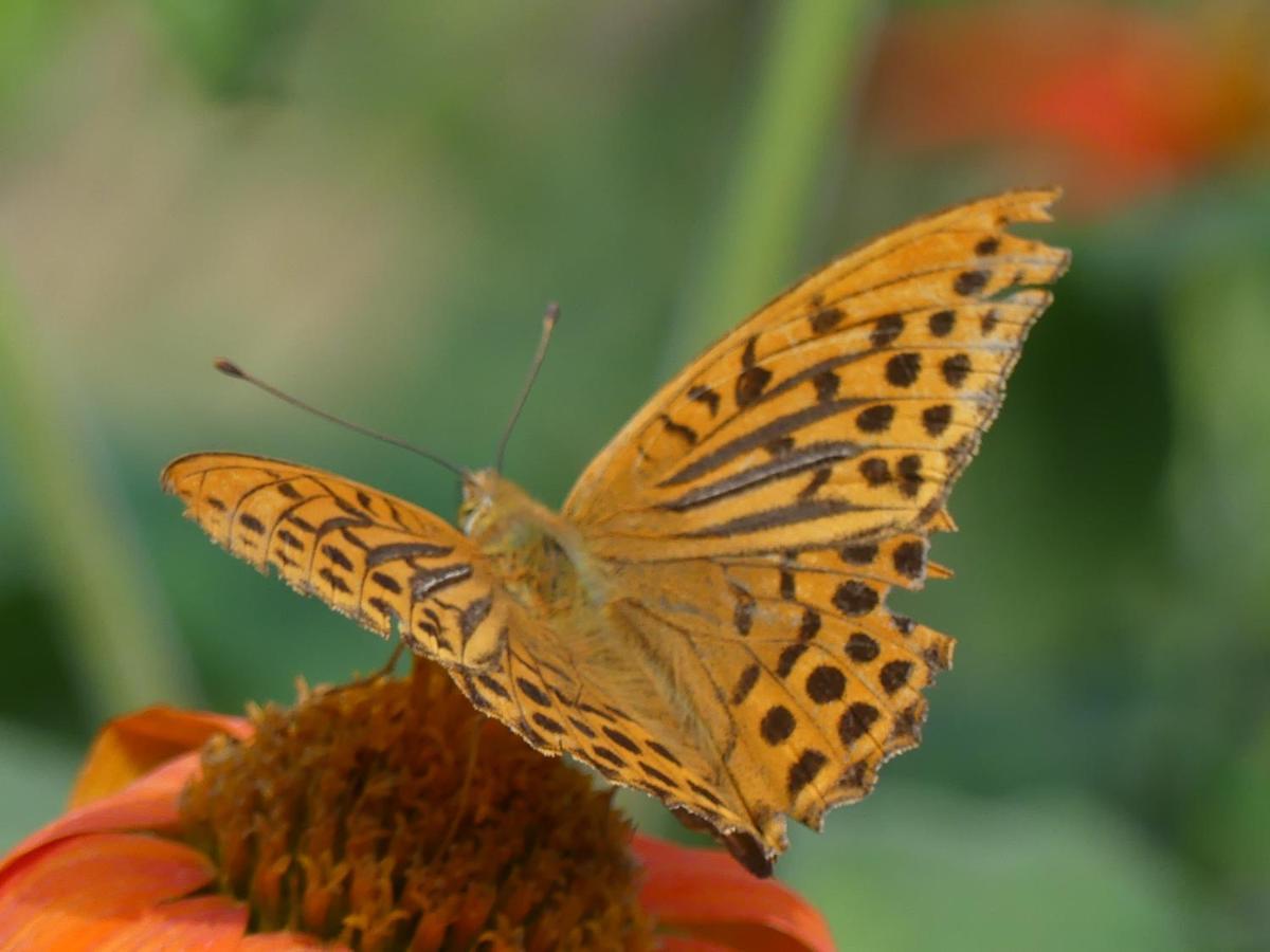 Source Nature Mas-d'Azil Esterno foto