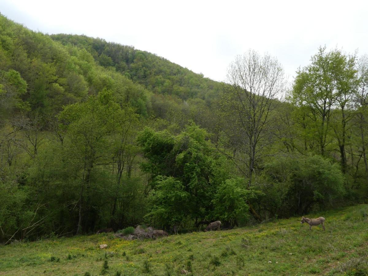 Source Nature Mas-d'Azil Esterno foto