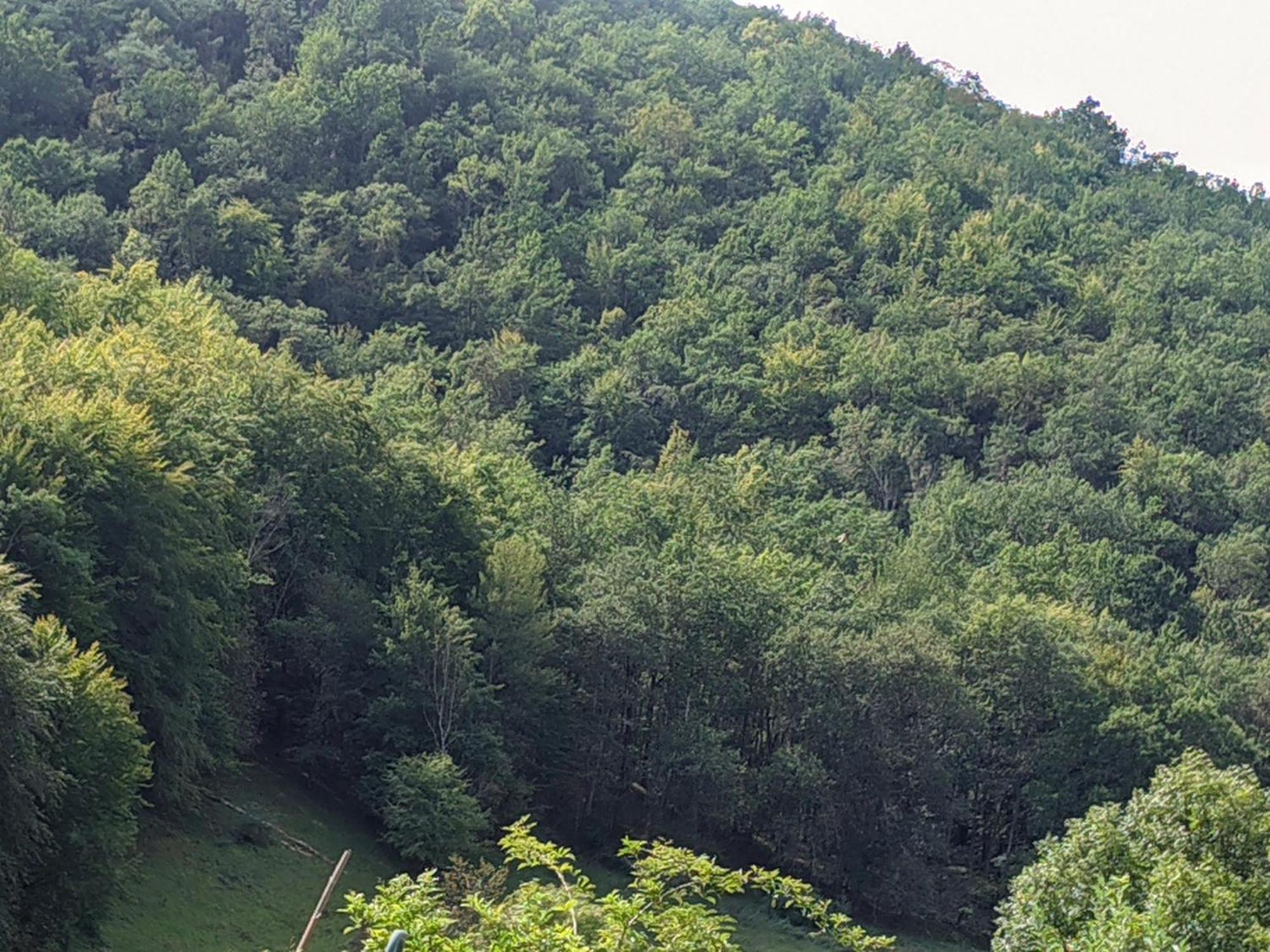 Source Nature Mas-d'Azil Esterno foto